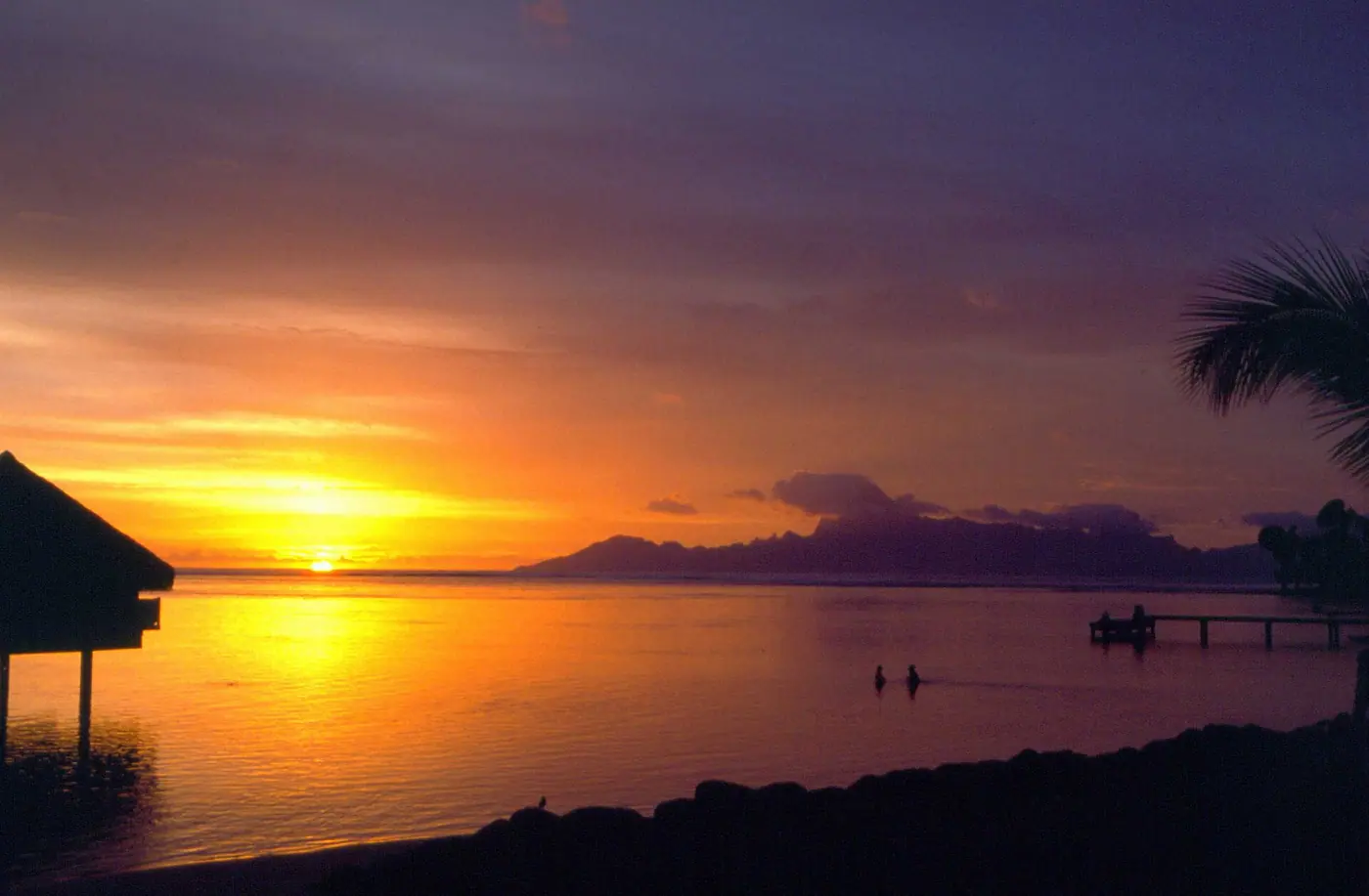 Littoral de Moorea