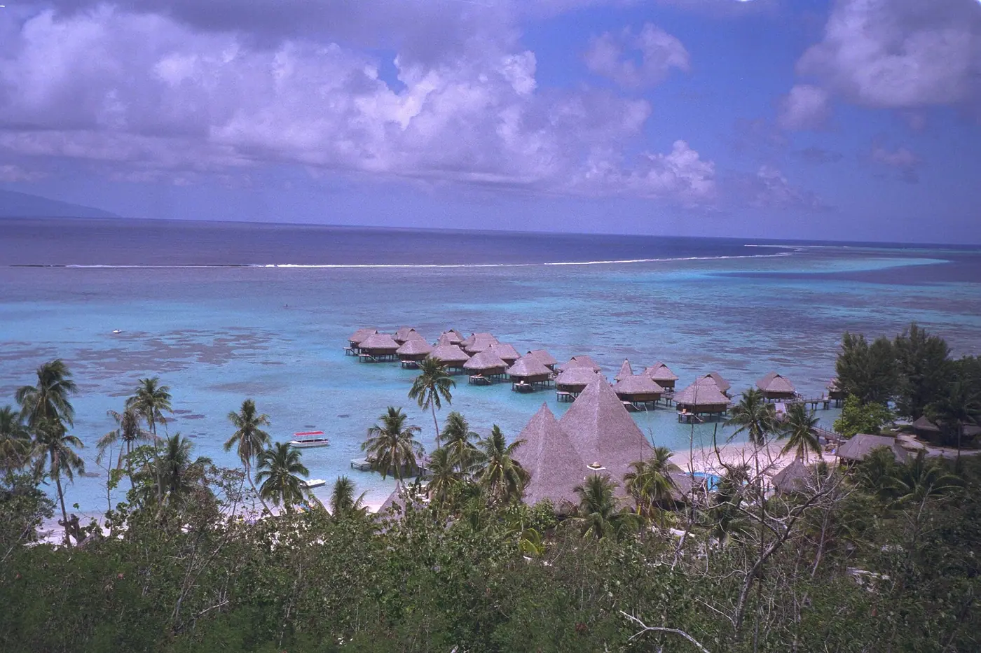 Coastline of Moorea