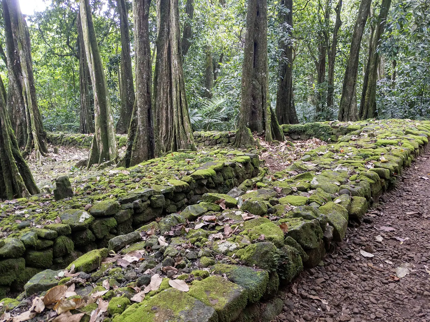 Eaux peu profondes d’un lagon polynésien