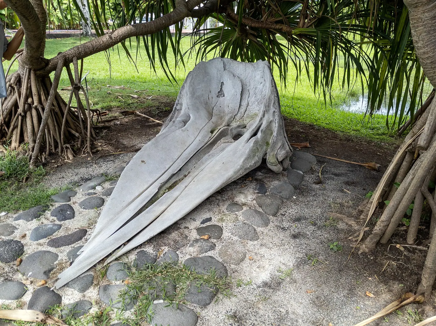 Musée de Tahiti et des îles à Punaauia