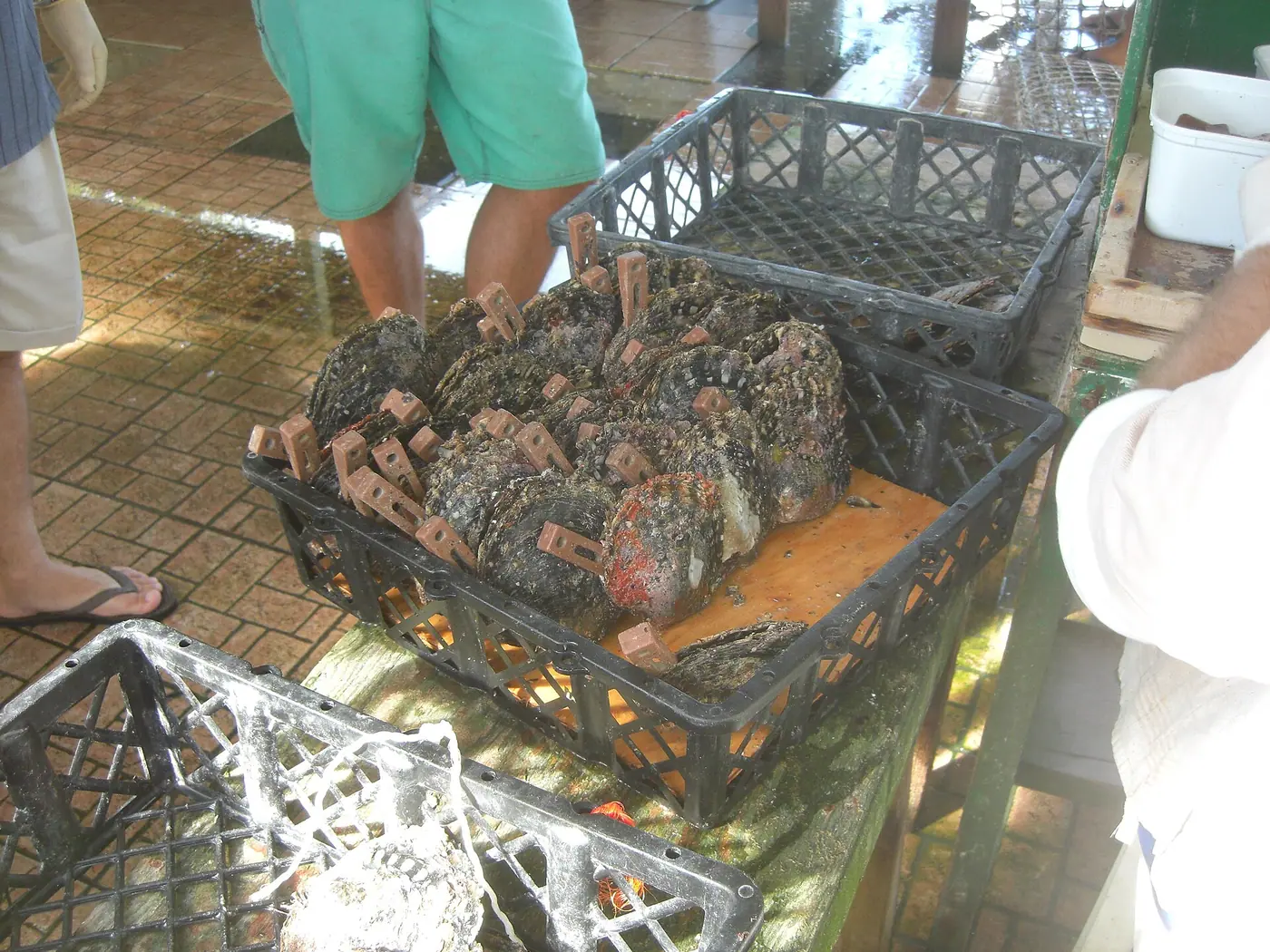 Perles de Tahiti