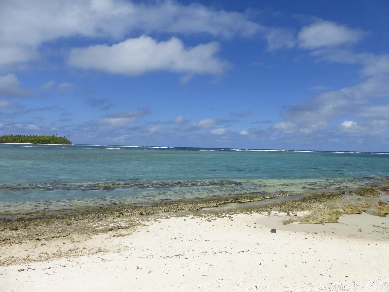 Plage bordée de végétation à Huahine