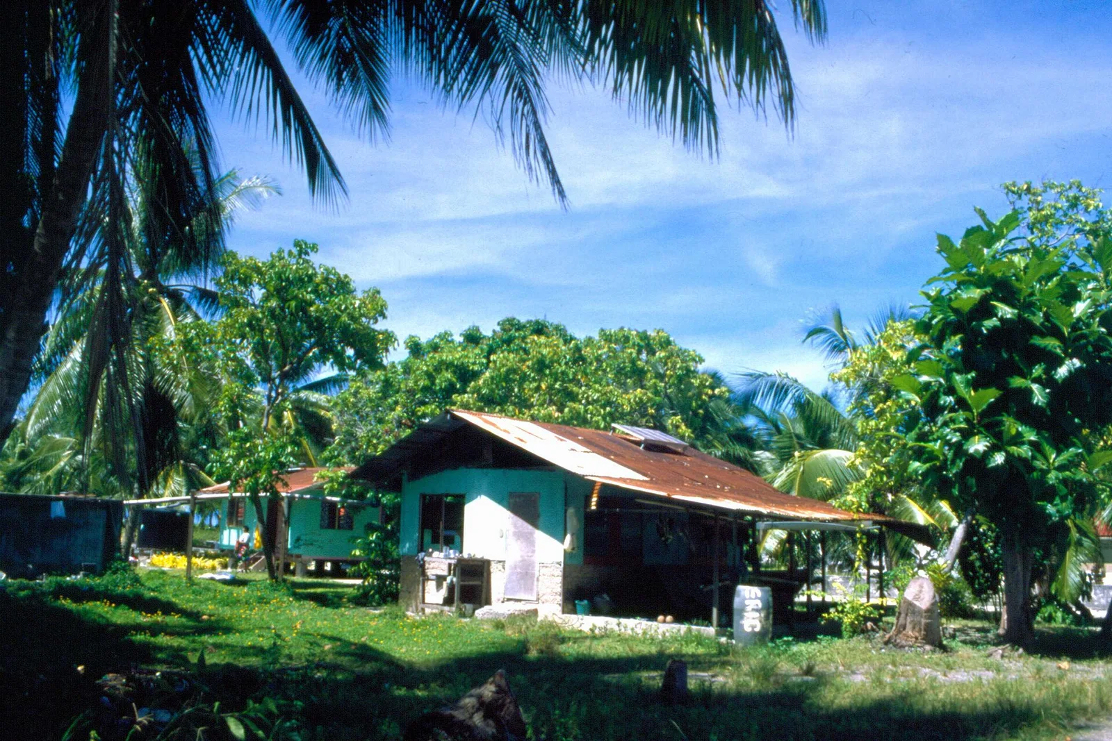 Village de Turipaoa sur l’atoll de Manihi