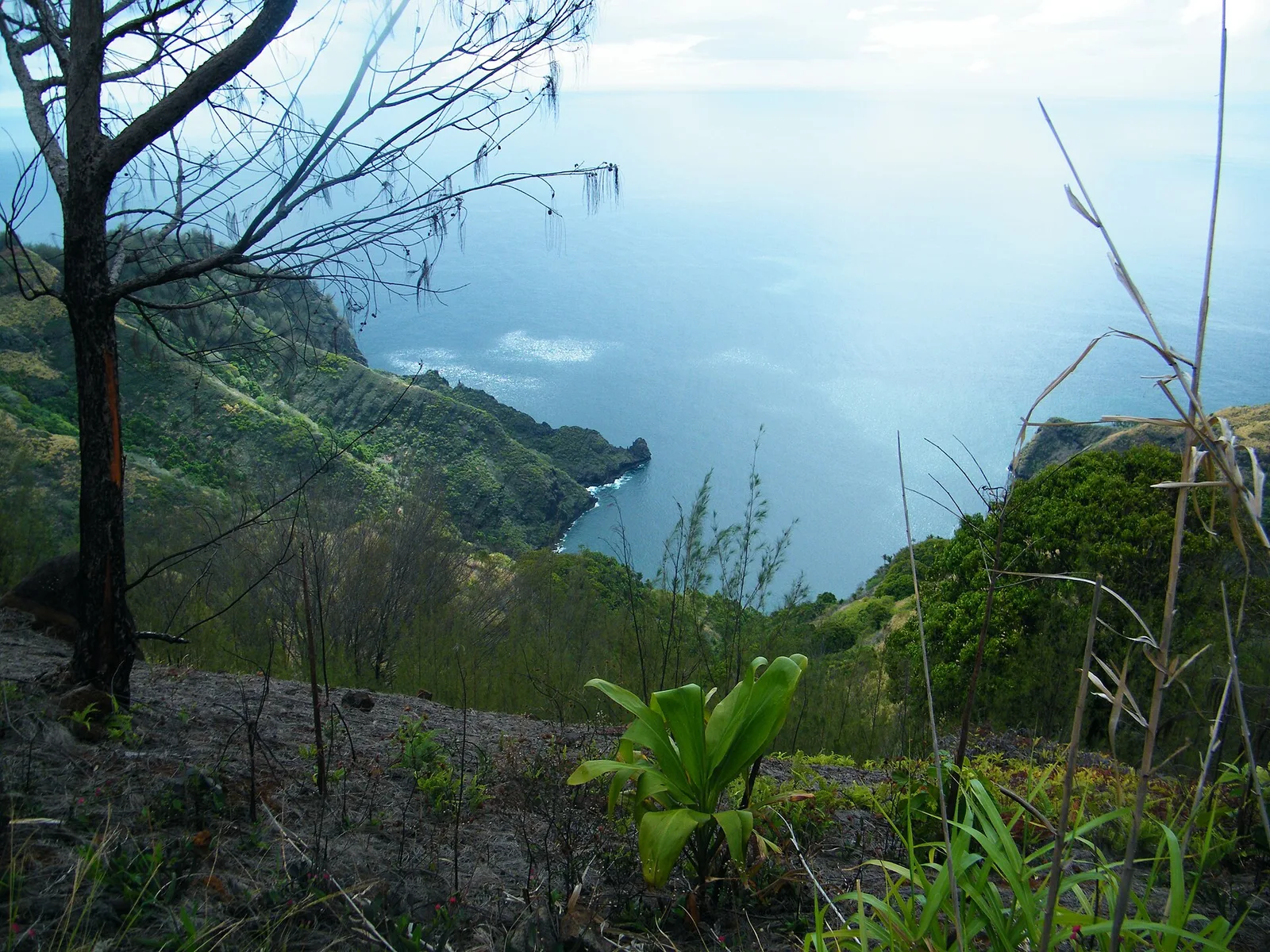 Vue en hauteur depuis les montagnes de Tahuata