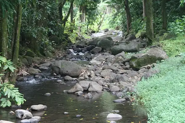 Forêts et reliefs escarpés de Fatu Hiva